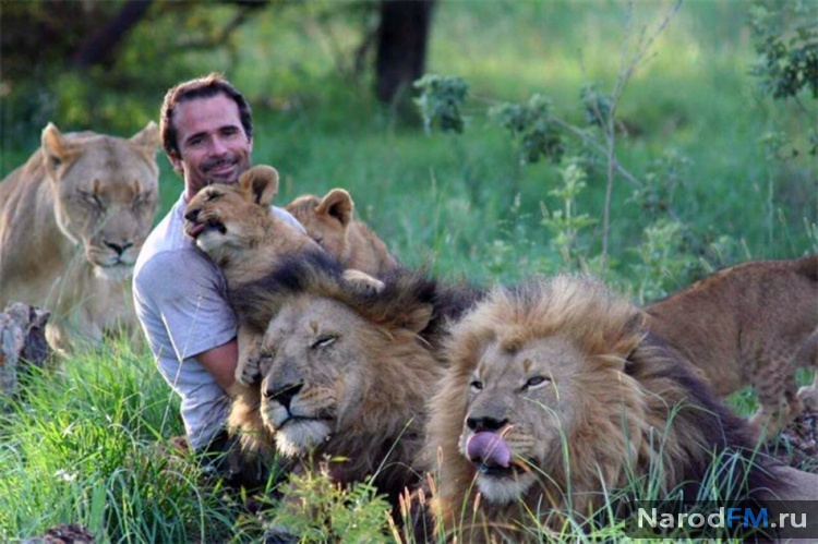 Кевин Ричардсон свой среди львов Kevin Richardson