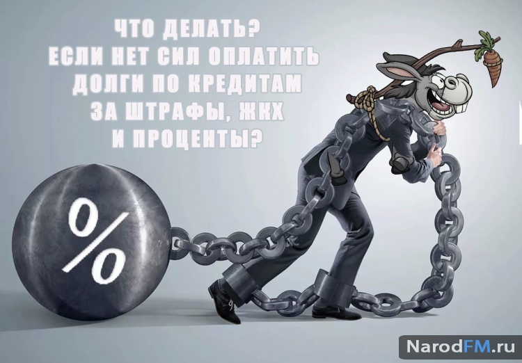 Как лучше списать долги? МФЦ или Банкротство через суд