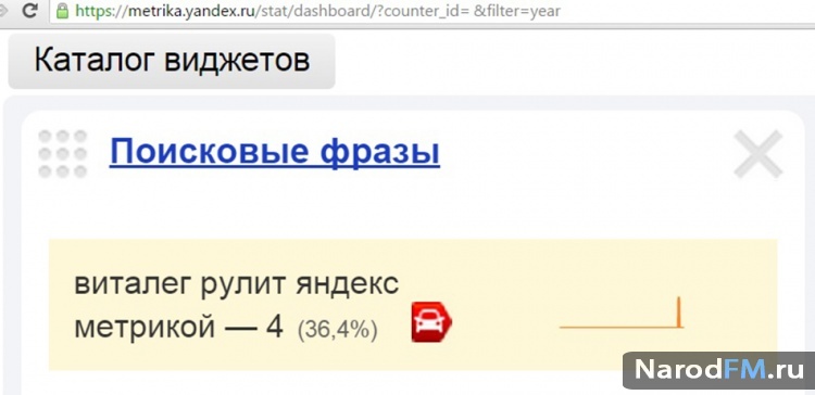 виталег рулит яндекс метрикой